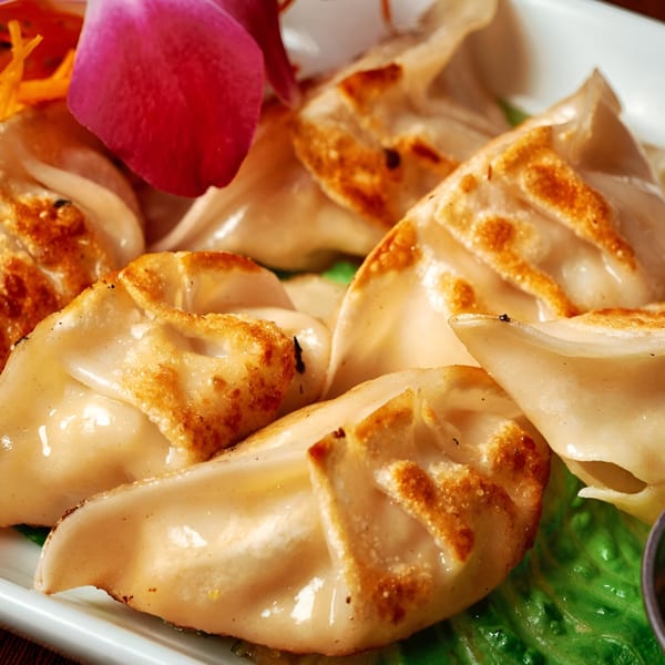 Close-up of golden-brown pan-fried dumplings, garnished with a pink orchid and shredded carrots.