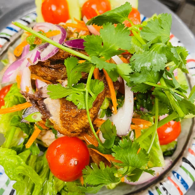 Village Duck Salad.